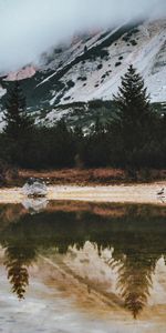 Trees,Rocks,Lake,Reflection,Spruce,Fir,Nature