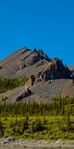 Roches,Montagne,Retour Au Début,Épicéa,Nature,Sommet,Sapin,Les Rochers,Arbres