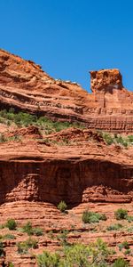 Trees,Rocks,Nature,Canyon