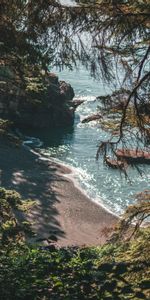 Árboles,Las Rocas,Costa,Naturaleza,Rocas,Paisaje,Playa