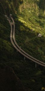 Trees,Rocks,Road,Nature,Forest