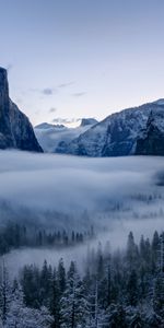 Trees,Rocks,Snow Covered,Snowbound,Nature,Mountains,Snow