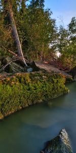 Paysage,Arbres,Mer,Coucher De Soleil