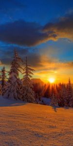 Neige,Arbres,Coucher De Soleil,Mangé,Ate,Soir,Nature,Sun,Ombre