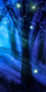 Trees,Shine,Light,Night,Forest,Art