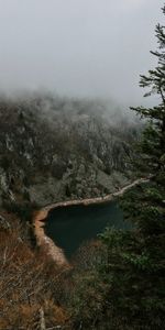 Trees,Shore,Bank,Fog,Cliff,Nature,Landscape