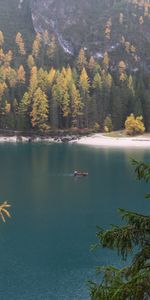 Trees,Shore,Bank,Nature,Water,Lake,Boat