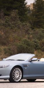 Trees,Side View,Shrubs,Db92004,Cars,Aston Martin,Sports