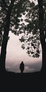 Trees,Silhouette,Miscellanea,Miscellaneous,Loneliness,Dark