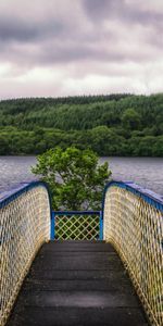 Trees,Sky,Bridge,Rivers,Nature