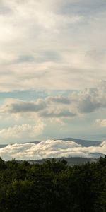 Nature,Buissons,Nuages,Sky,Arbres