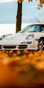 Порш (Porsche),911,Белый,Тачки (Cars),Порше,Небо,Деревья,Листья,Осень