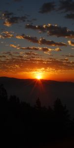 Trees,Sky,Clouds,Horizon,Nature,Mountains,Dawn