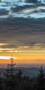 Trees,Sky,Clouds,Horizon,Nature,Sunset,Mountains