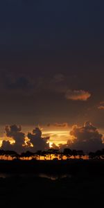 Trees,Sky,Clouds,Horizon,Nature,Sunset,Night,Dark