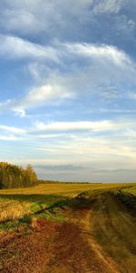 Trees,Sky,Clouds,Horizon,Road,Country,Expanse,Nature,Field,Countryside,Landscape,Open Spaces