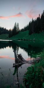 Trees,Sky,Clouds,Lake,Reflection,Fir,Spruce,Nature