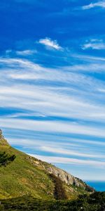 Naturaleza,Árboles,Cielo,Nubes,Montaña,Frescura,Pureza