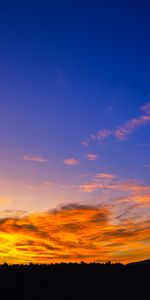 Naturaleza,Árboles,Cielo,Nubes,Silueta,Puesta Del Sol