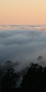 Naturaleza,Árboles,Nubes,Niebla,Pendiente,Cuesta,Cielo