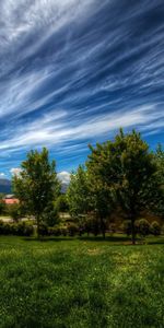 Trees,Sky,Clouds,Summer,Nature,Garden