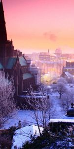 Trees,Sky,Evening,City,Cities,Winter