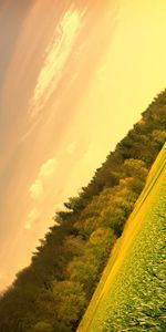 Trees,Sky,Field,Angle,Corner,Nature,Meadow