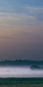 Naturaleza,Árboles,Cielo,Niebla,Amanecer,Campo