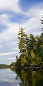 Trees,Sky,Forest,Nature,Rivers,Dahl,Distance