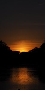 Trees,Sky,Lake,Dark,Sunset
