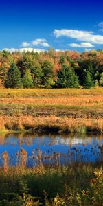 Nature,Sky,Arbres,Lac,Automne