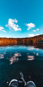 Trees,Sky,Lake,Nature,Forest,Ice