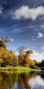 Trees,Sky,Lakes,Landscape