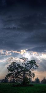 Paysage,Sky,Arbres,Photo Artistique