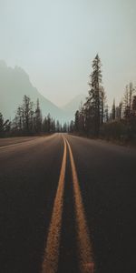 Trees,Sky,Markup,Fog,Nature,Road,Turn