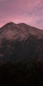 Trees,Sky,Mountain,Dusk,Nature,Twilight,Violet,Purple