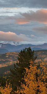 Trees,Sky,Mountains,Aspen,Nature,Pine,Clouds,Evening,Autumn