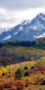 Nature,Sky,Montagnes,Forêt,Arbres,Automne