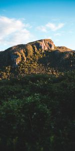 Trees,Sky,Mountains,Bush,Rocks,Nature