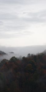 Árboles,Cielo,Montañas,Niebla,Naturaleza