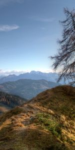 Trees,Sky,Mountains,Nature