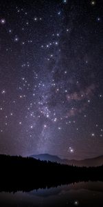 Trees,Sky,Mountains,Stars,Night,Shine,Forest,Starry Sky,Brilliance,Dark