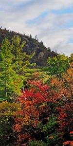 Paisaje,Árboles,Naturaleza,Cielo,Otoño