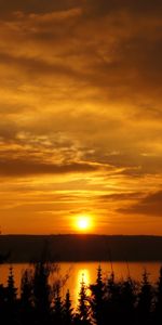 Árboles,Puesta Del Sol,Cielo,Naturaleza,Ríos