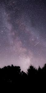 Sombre,Nébuleuse,Arbres,Etoiles,Sky,Nuit