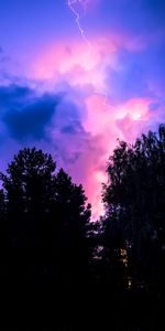 Arbres,Sky,Nuit,Tempête,Orage,Sombre