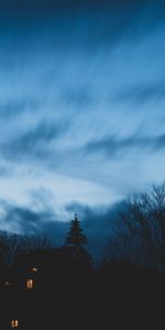 Trees,Sky,Night,Twilight,Dusk,Outlines,Dark,House