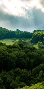 Trees,Sky,Rays,Nature,Beams,Forest