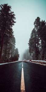 Trees,Sky,Road,Markup,Asphalt,Nature,Fog