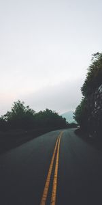 Tour,Tourner,Arbres,Balisage,Sky,Nature,Route